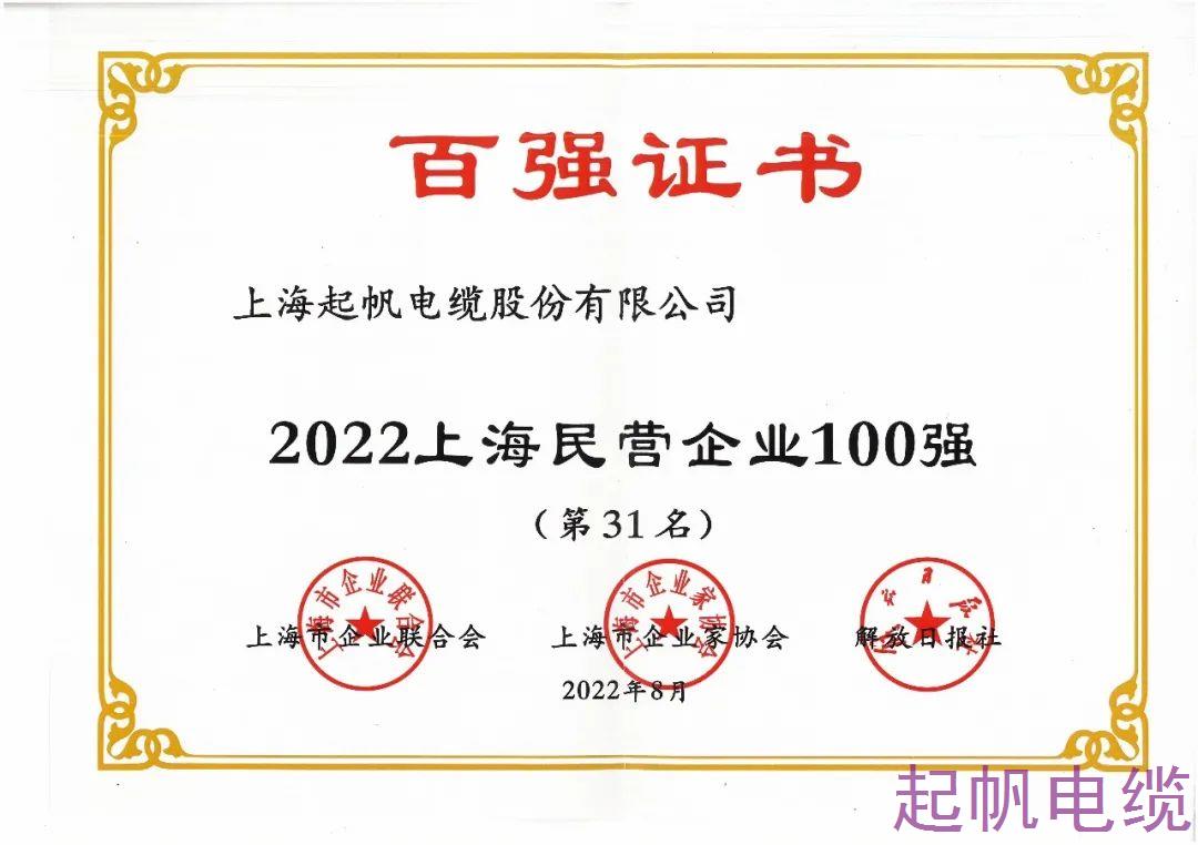 2022年上海民营企业100强 2022年上海民营企业100强